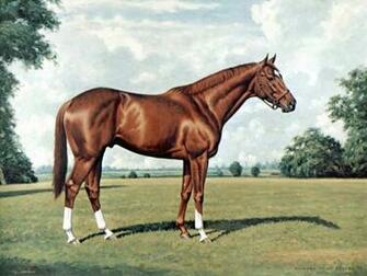Secretariat Wallpaper Triple Crown