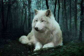 Wolf HD Wallpaper Android Apps Op Google Play