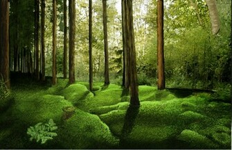 Forest Background By Animefreke101