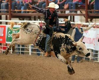 Bull Riding Bullrider Rodeo Western Cowboy Extreme Cow