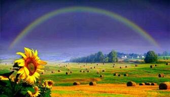 Rainbow Wallpaper