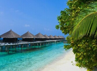 Tropical Beach Screensaver Wallpaper