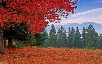 Landscape Wallpaper HD Landscapes