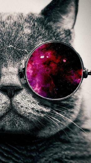 Free download Galaxy Cat Background Galaxy cat wallpaper [960x600] for