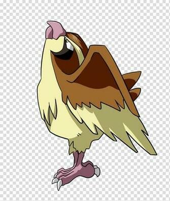 Chicken Pok Mon Go Pidgeot Pidgey Transparent Background Png