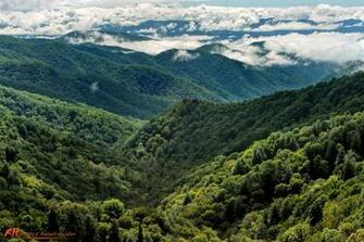 The Great Smoky Mountains