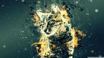 Turkish Cats Tabby Wallpaper By Superjey On