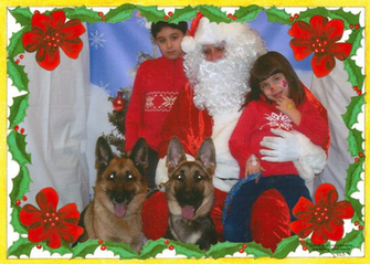 Christmas German Shepherd Pictures Dog Forums