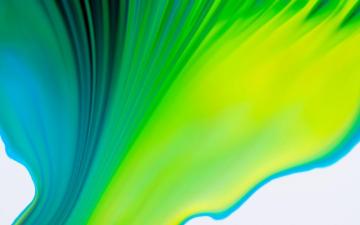 Acer Wallpaper Community