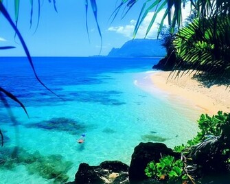 3d Desktop Wallpaper Beach Src