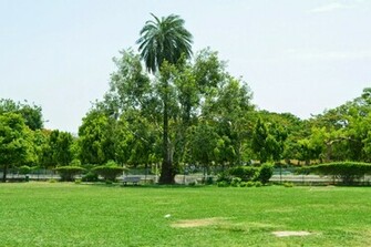 Garden Background For Photoshop