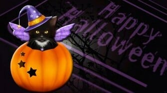 Halloween Cat Wallpaper Hq Desktop