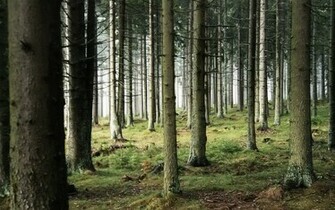 Wallpaper For About Sort By Newest