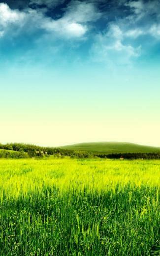 Galaxy Note Wallpaper HD