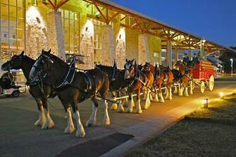 Displaying Gallery Image For Budweiser Clydesdales Christmas