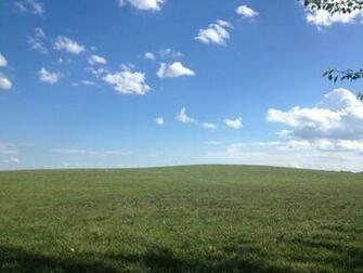Windows Xp Default Wallpaper