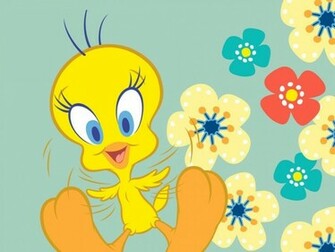 Baby Tweety Bird Wallpaper Which Is Under The Birds