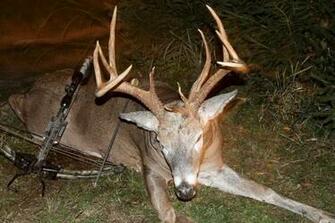 Big Buck Danville Ohio Huntdrop