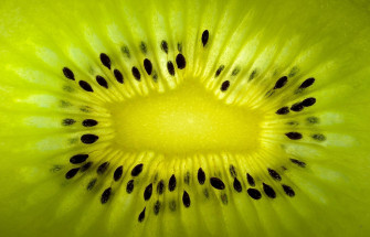 Kiwi Core Macro Vneaqey9p8bzhbjf Wallpaper