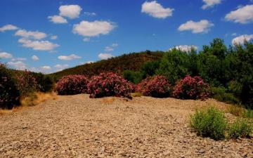 Alentejo Portugal Two Wallpaper Stock Photos
