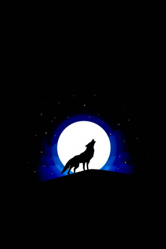 iPhone 4s Wallpaper