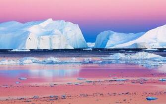 Arctic Wallpaper