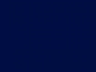Eg Profile Background Platinex