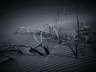 Black And White Desert Wallpaper Image
