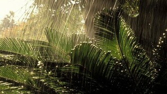 Beautiful Monsoon Season Wallpaper HD