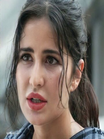 Cropped Salman Khan Tiger Wallpaper