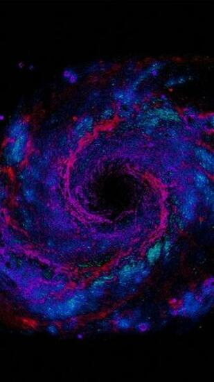 Galaxy S8 Wallpaper To Your Cell Phone