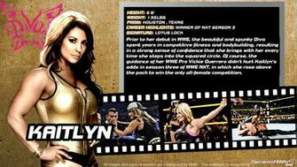 Wwe Kaitlyn Id Wallpaper Widescreen By Timetravel6000v2