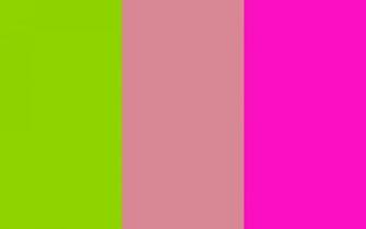 Sheen Green Shimmering Blush And Shocking Pink Three Color Pictures