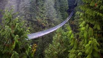 Wallpaper Suspension Bridge Vancouver British Columbia Forest