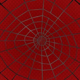 Spider Web Background