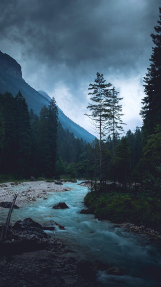 Dark Nature Wallpaper