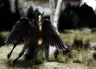 Black Pegasus Wallpaper
