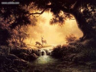 Woodland Wallpaper Top HD NicewallpaperHD