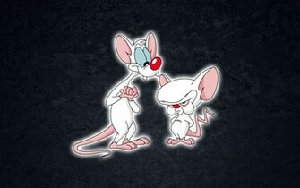 Pinky And The Brain By Cesaraquino