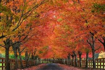 Nationalgeographic Frifotos Fall In The United States