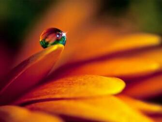 What Does It Mean To Have Faith God Values In Ways We Least