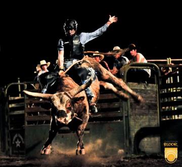 Bull Riding Background On