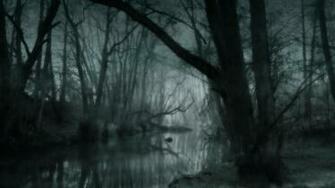 Foggy Forest Wallpaper