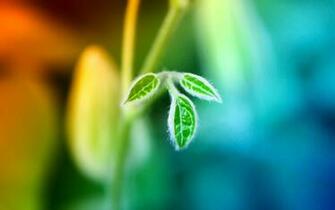 New Life By Ether