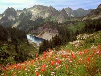 Cliff Lake Idaho Mountains Flowers Trees Stock Photos