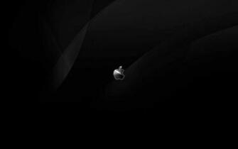 Black Hp Wallpaper And Pictures