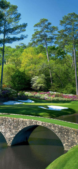 iPhone X Golf Course Background Wallpaper