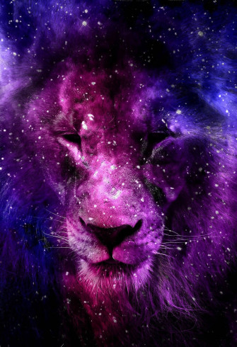 Majestic Galaxy Lion In Pink And Purple Gradient