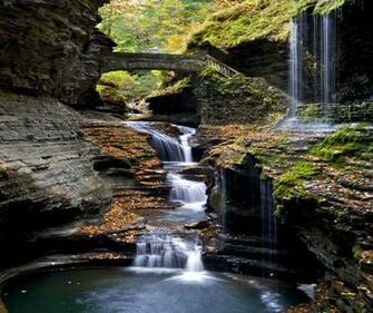 HD Nature Image Wallpaper Of Natures Organic Widescreen