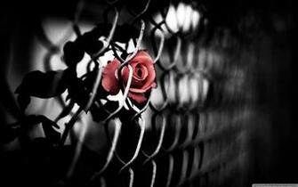 Thorn Wallpaper At Wallpaperbro